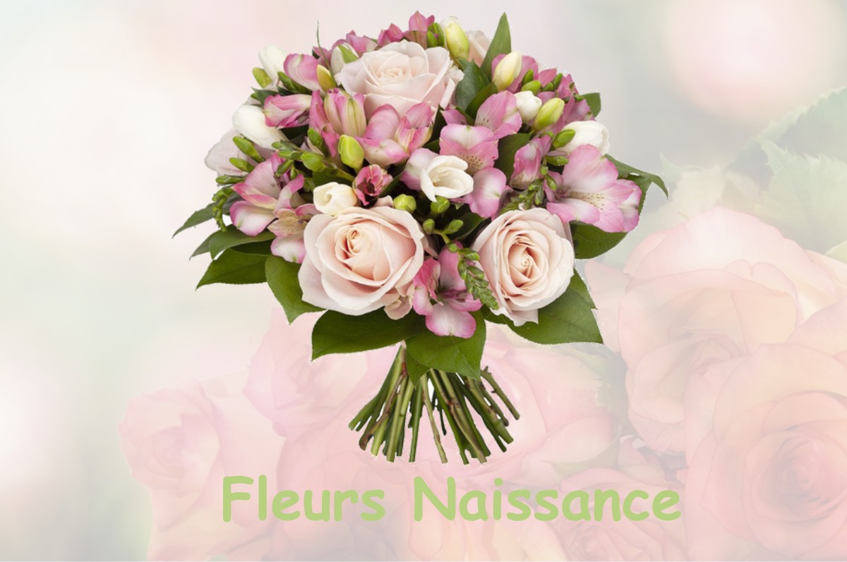 fleurs naissance ARNAUD-GUILHEM