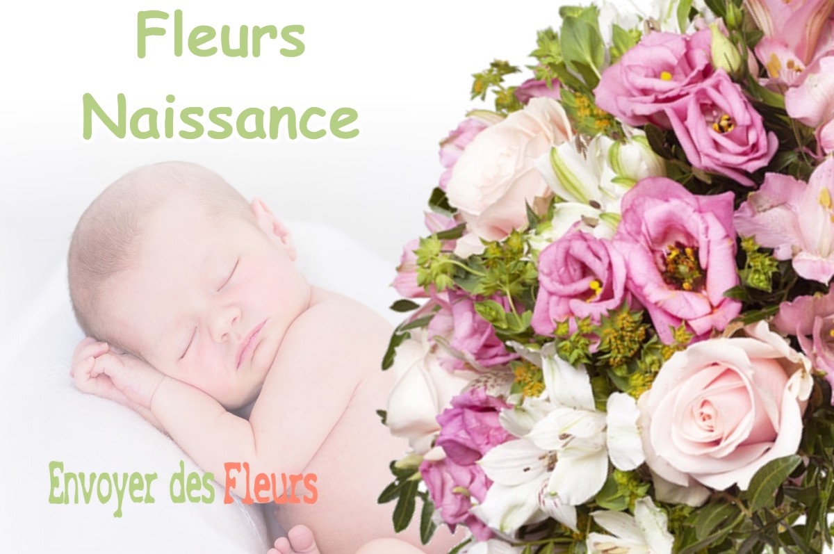 lIVRAISON FLEURS NAISSANCE à ARNAUD-GUILHEM